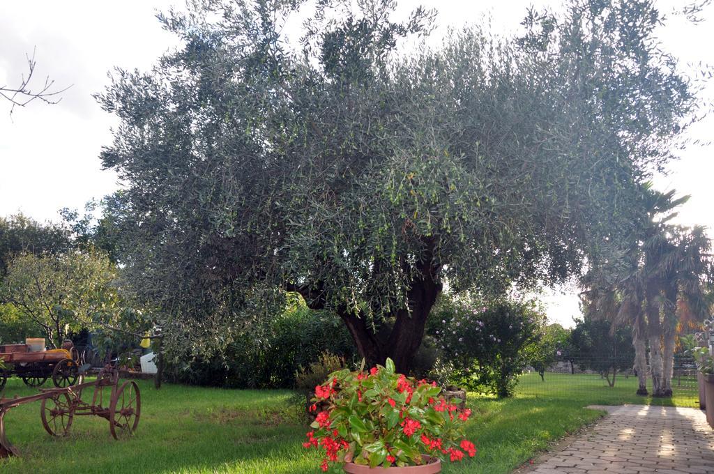 Franko Apartmani زامبراتيجا المظهر الخارجي الصورة