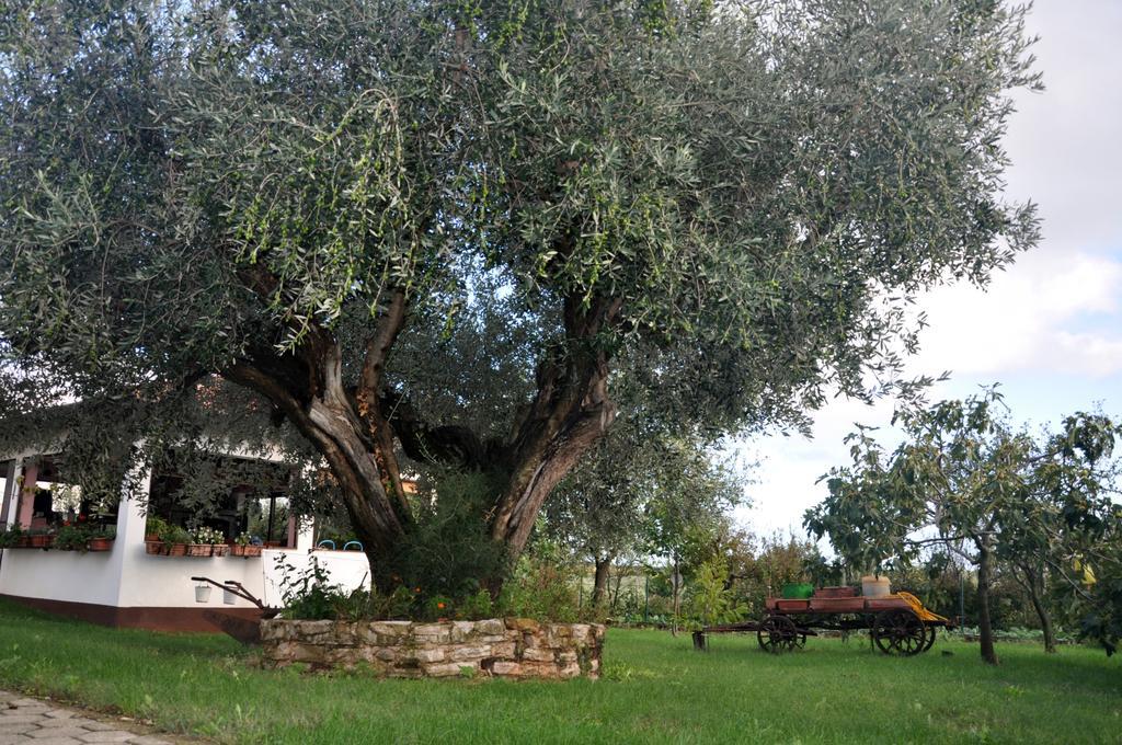 Franko Apartmani زامبراتيجا المظهر الخارجي الصورة
